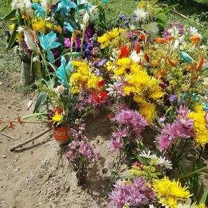 Meet your Posher, Patricia